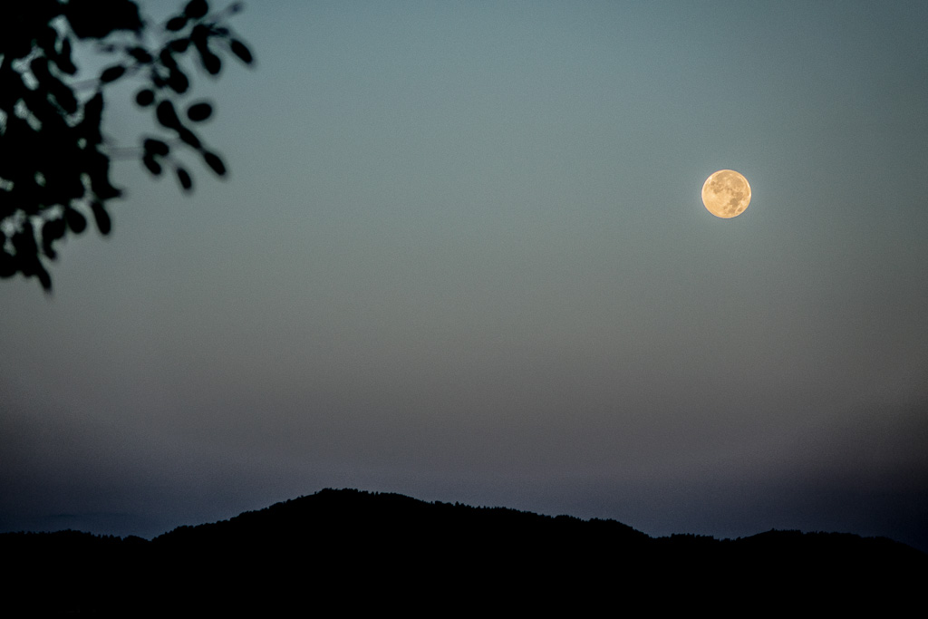 Moon over Jackson Hole